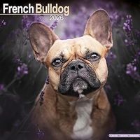 French Bulldogs 2026 Calendar