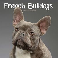 French Bulldogs 2026 Calendar