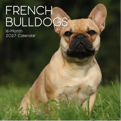 Bulldog - Square Calendar 2026