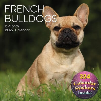 French Bulldogs 2027 Wall Calendar