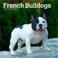 French Bulldogs 2026 Calendar