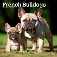 French Bulldogs 2026 Calendar