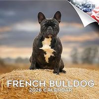 French Bulldogs 2026 Wall Calendar
