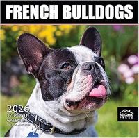 French Bulldogs 2026 Wall Calendar