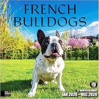 French Bulldogs 2026 Wall Calendar