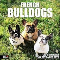 French Bulldogs 2026 Wall Calendar