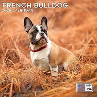 French Bulldogs 2026 Wall Calendar