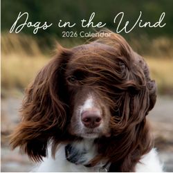 Dogs In The Wind 2026 Calendar