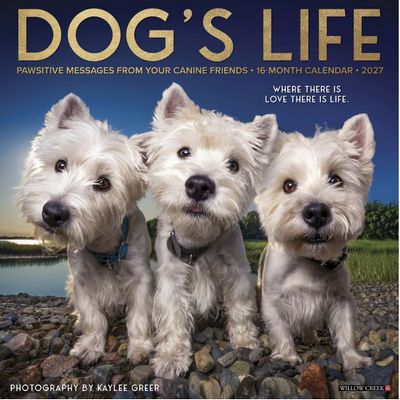 Dogs Life 2027 Wall Calendar