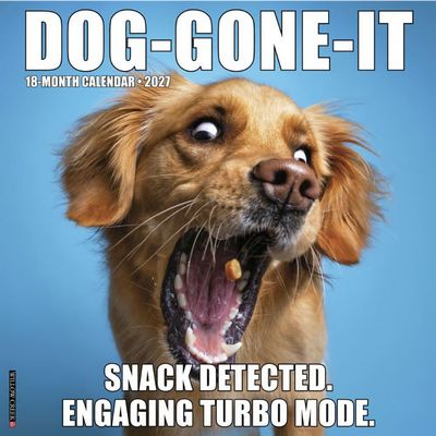 Dog Gone It 2027 Wall Calendar