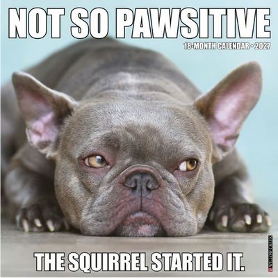 Not So Pawsitive 2027 Wall Calendar