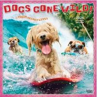 Dogs Gone Wild 2026 Wall Calendar