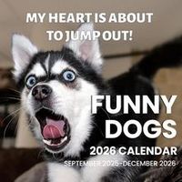 Funny Dogs 2026 Wall Calendar
