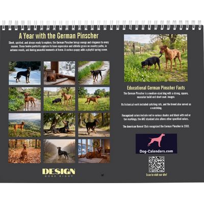 German Pinscher 2027 Wall Calendar