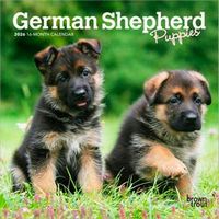 German Shepherd Puppy Calendar