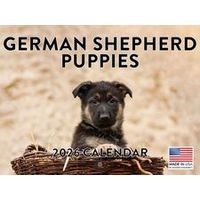 German Shepherd Puppies 2026 Calendar