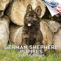 German Shepherd Puppies 2026 Calendar