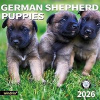 German Shepherd Puppies 2026 Calendar