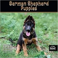 German Shepherd Puppies 2026 Calendar