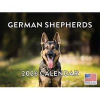 German Shepherds 2026 Calendar