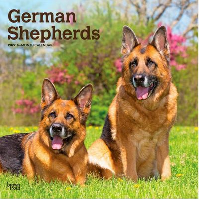 German Shepherds 2027 Calendar