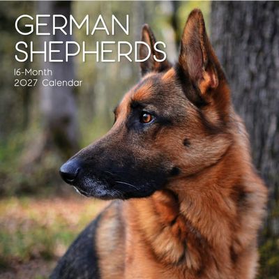 German Shepherds 2027 Calendar