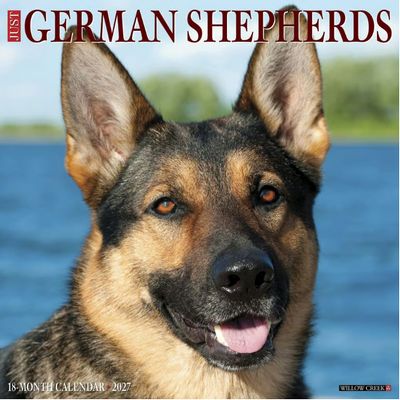 Just German Shepherds 2027 Calendar