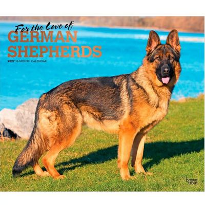 German Shepherds 2027 Deluxe Wall Calendar