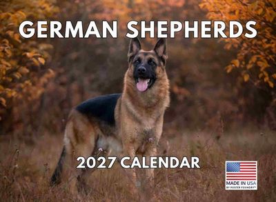 German Shepherds 2027 Deluxe Wall Calendar
