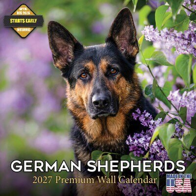 German Shepherds 2027 Wall Calendar