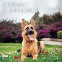 German Shepherds 2026 Calendar