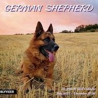German Shepherds 2026 Calendar