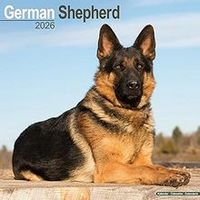 German Shepherd 2026 Calendar