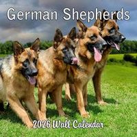 German Shepherds 2026 Calendar