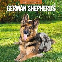 German Shepherds 2026 Calendar