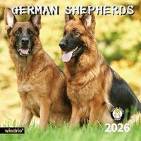 German Shepherds 2026 Calendar