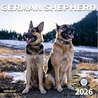 German Shepherds 2026 Calendar