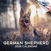German Shepherds 2026 Calendar