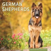 German Shepherds 2026 Calendar