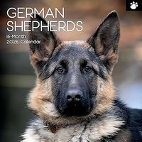 German Shepherds 2026 Calendar