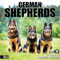 German Shepherds 2026 Calendar