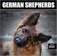 German Shepherds 2026 Calendar