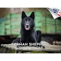 German Shepherds 2026 Calendar