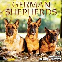 German Shepherds 2026 Calendar