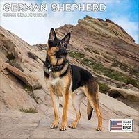 German Shepherds 2026 Calendar