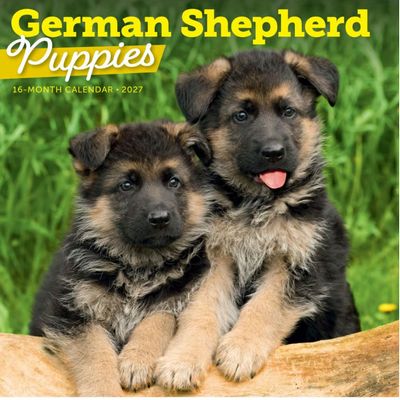 German Shepherd Puppies 2027 Calendar