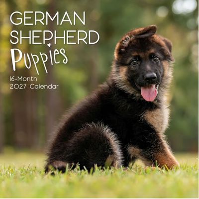 German Shepherd Puppies 2027 Calendar