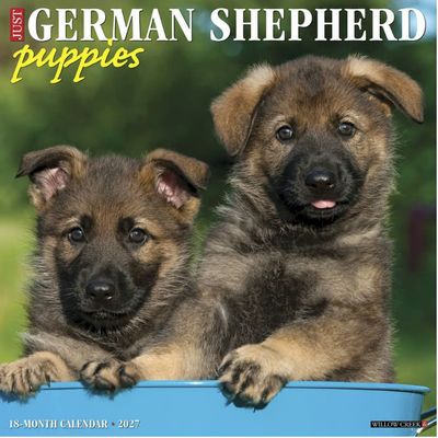 German Shepherd Puppies 2027 Calendar