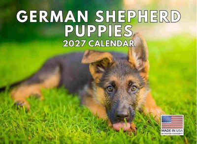 German Shepherd Puppies 2027 Wall Calendar