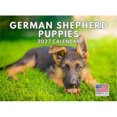 German Shepherd Puppies 2027 Wall Calendar